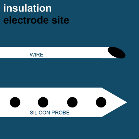 Silicon or Wires