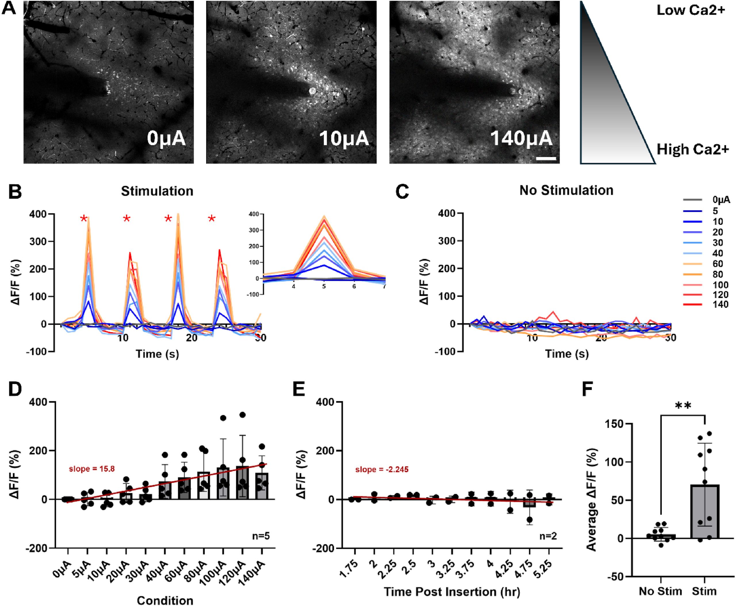Rapid Microglia Response to ICMS