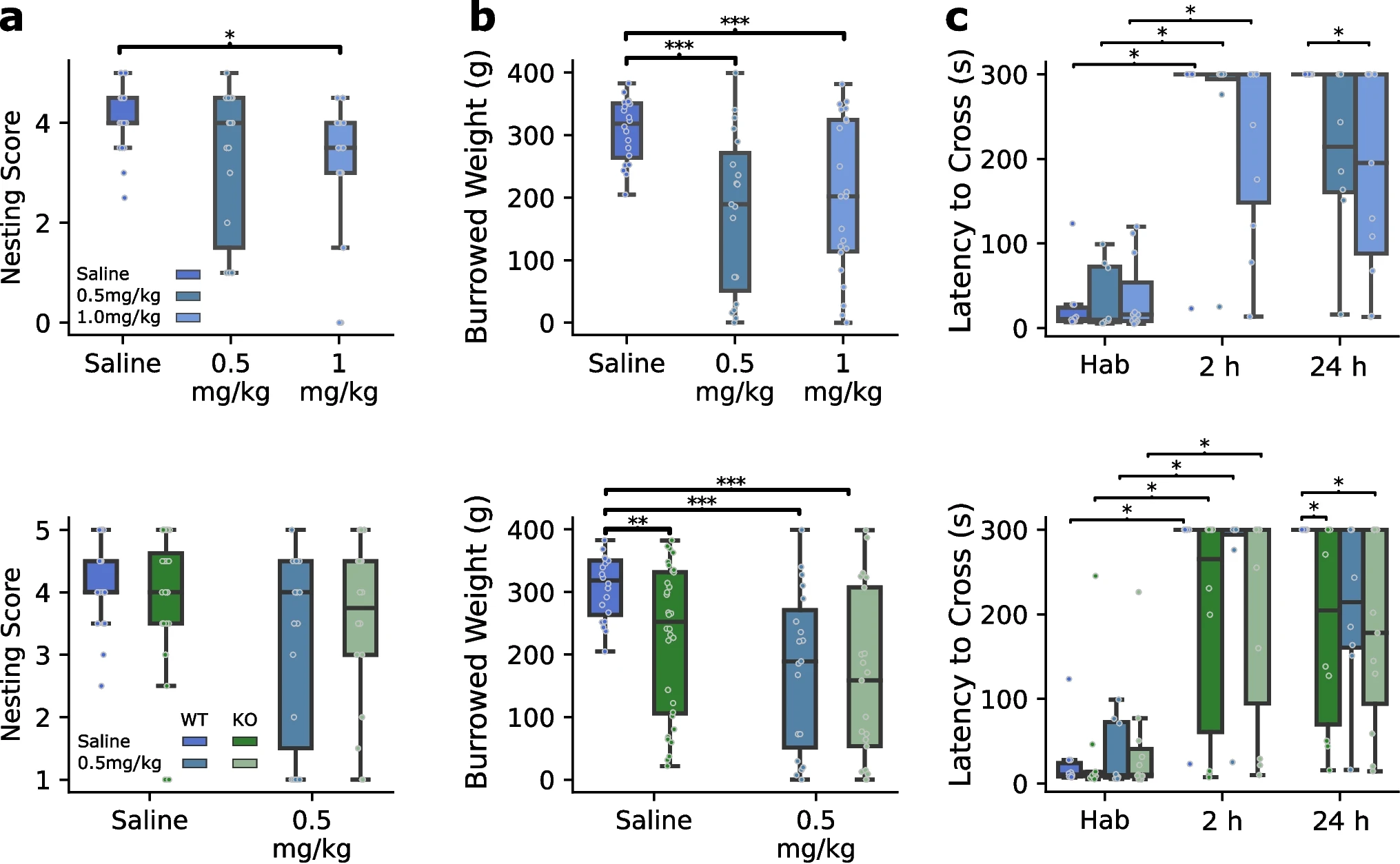 Long-Term Neural Effects of Early NMDA Receptor Blockade